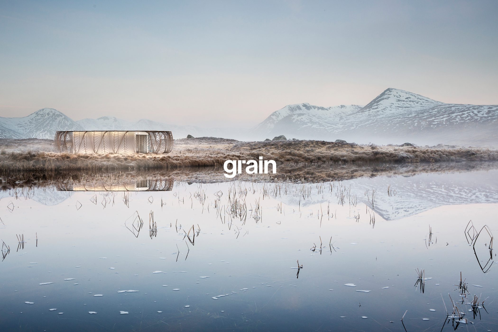 Grain Image New 05